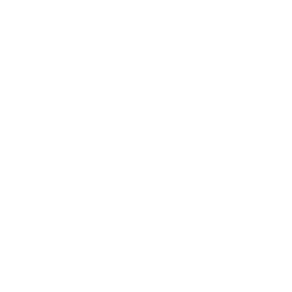 13 Hands Equine Rescue Inc.