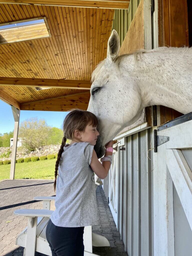Horse farm retreat for the family clinton corners ny