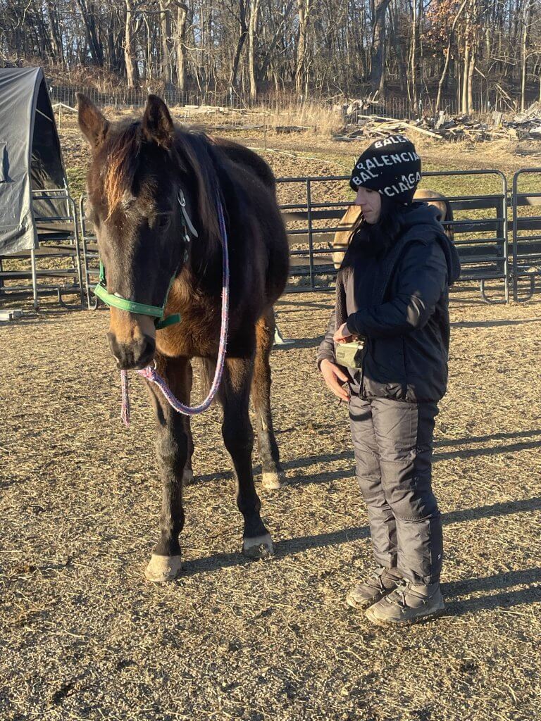 hudson valley ny equine rescue