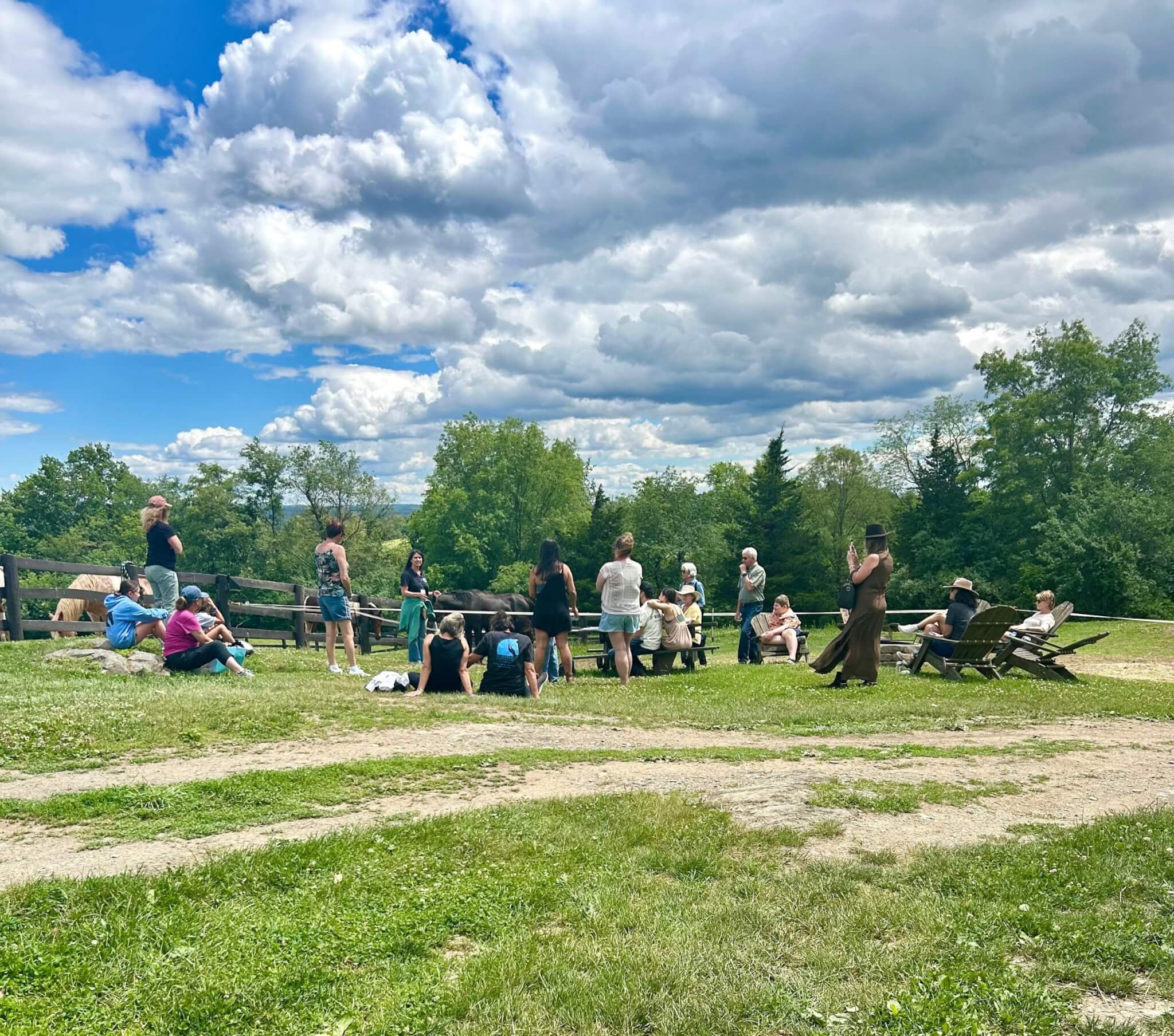 Our Equine Community!