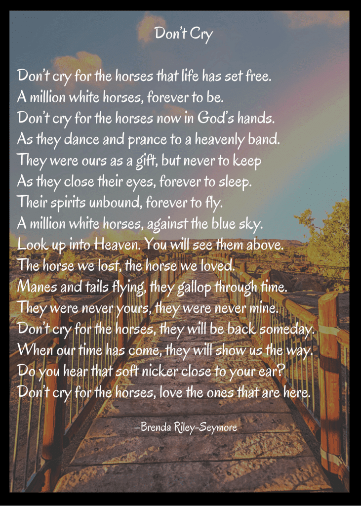 13 Hands Equine Rescue Inc.
