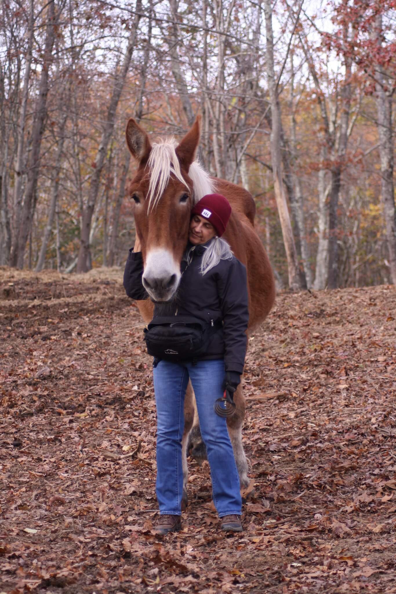 13 Hands Equine Rescue Inc.