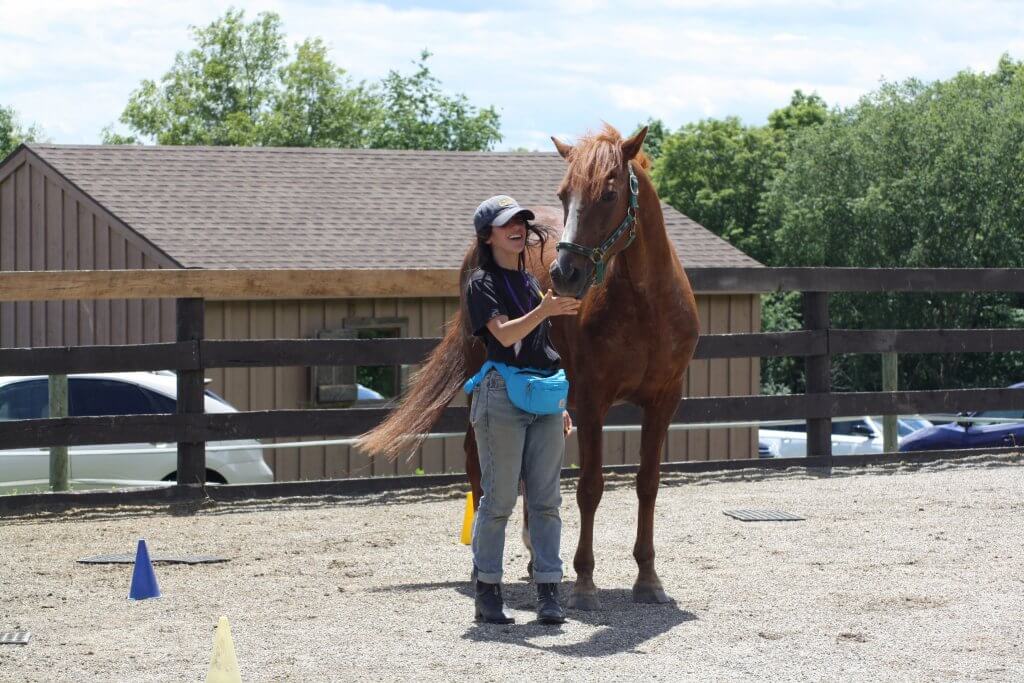 Why Clicker Training?