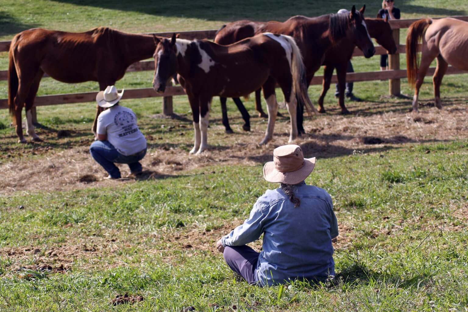Restore at the Rescue: An Afternoon of Deep Rest with the Horses