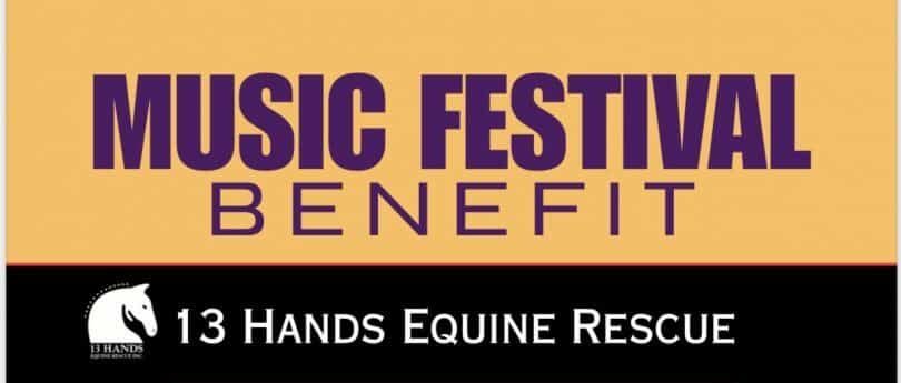 Musical Festival Benefit