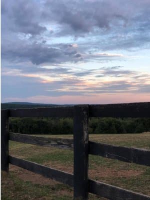13 Hands Equine Rescue Inc.