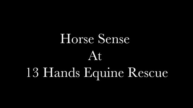 Equine Assisted Learning Program