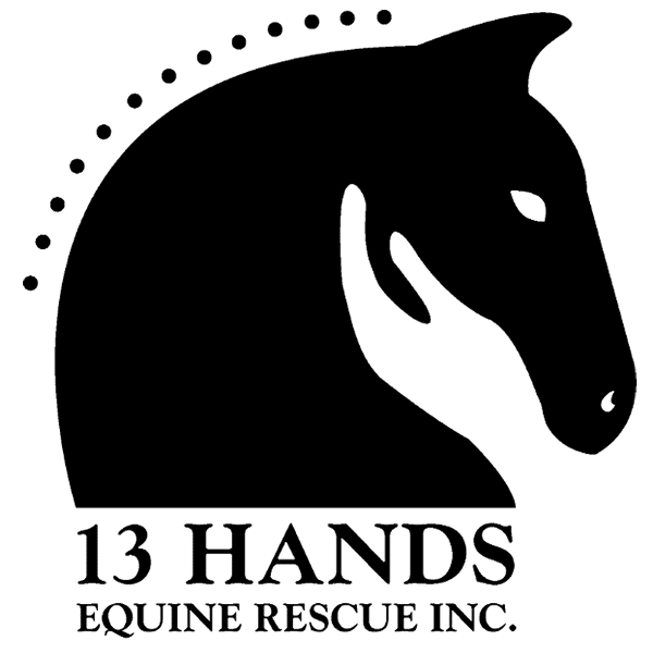 13 Hands Equine Rescue Inc. logo