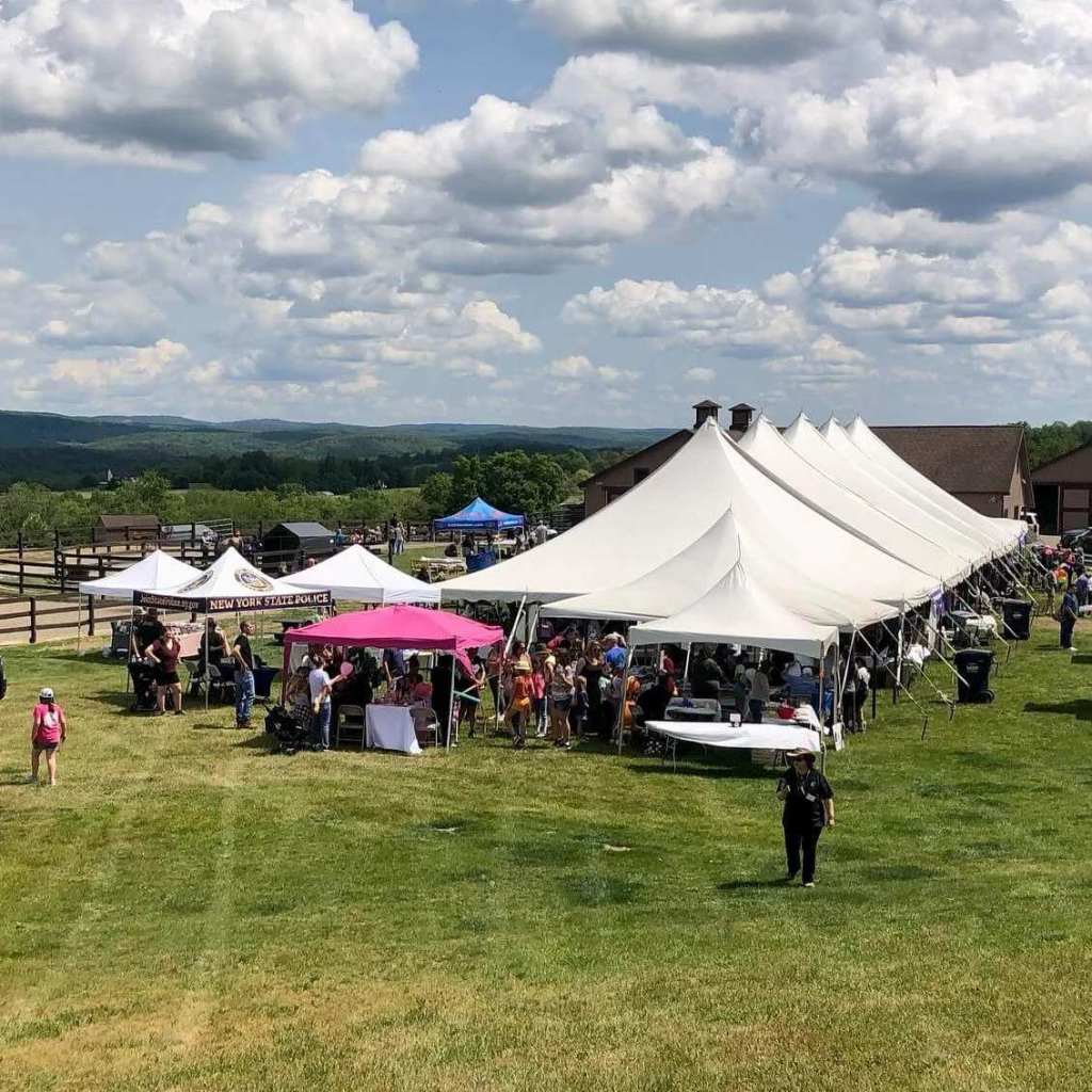 Help A Horse Day 2026