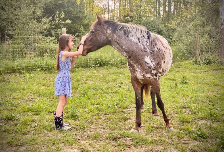 retreat with children adults on horse rescue